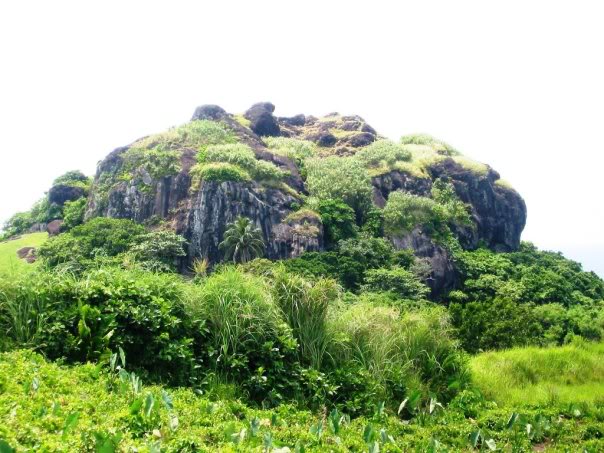 ‘IM电竞’Win10多次更新 如此小问题却就是搞不定(图1) IM电竞