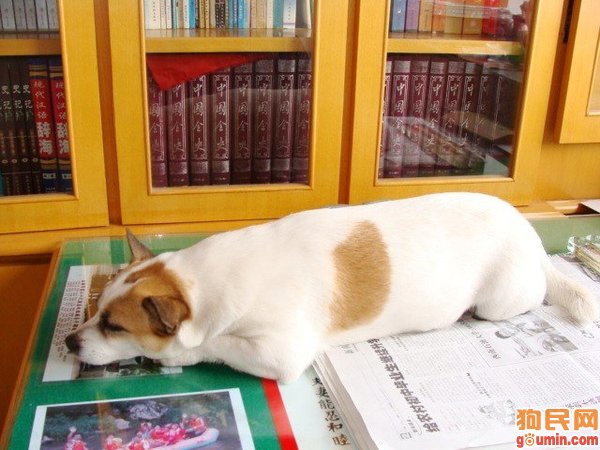 【IM电竞官网】张良简介,张良的历史故事(图2) IM电竞平台