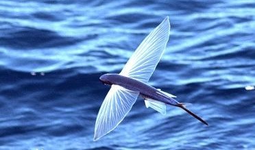 支付宝每天进账几十元 吓得报警 结果尴尬【IM电竞】(图4) IM电竞官网