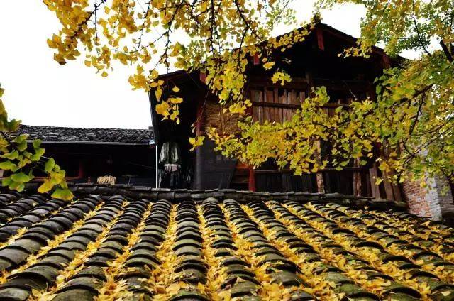 IM电竞:中国特供 PS4 Pro新增两款青春套装(图4) IM电竞官网