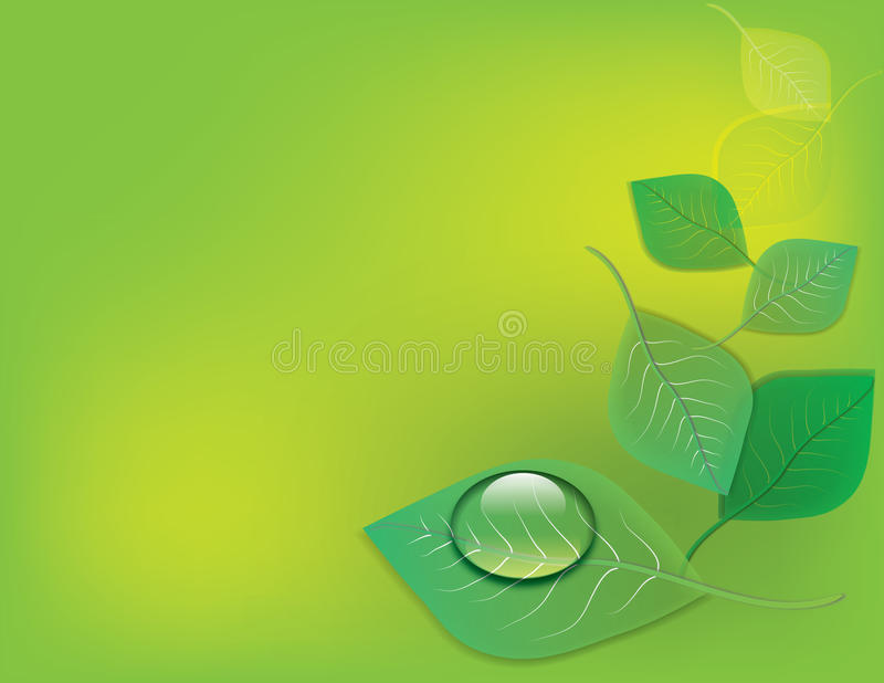 不为人知的蒋介石日本情人_IM电竞(图3) IM电竞平台