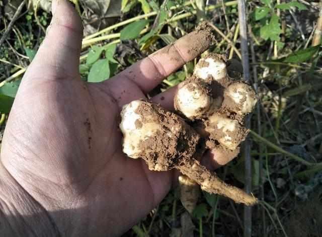 IM电竞|传媒大学排名,中国排名前十的传媒大学?(图2) IM电竞官网