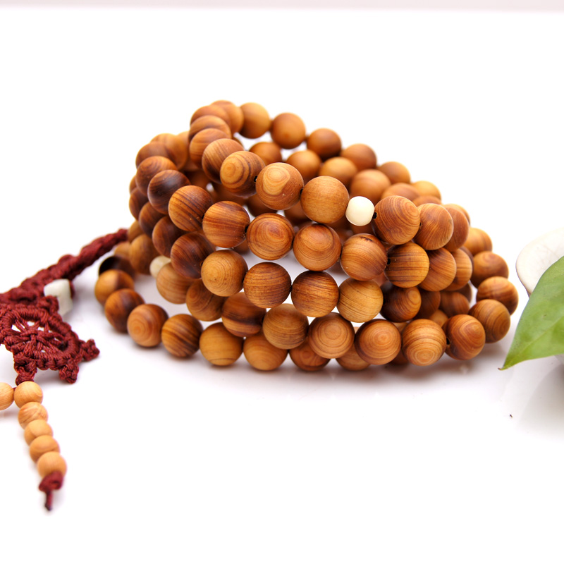 我校喜迎八方学子‘IM电竞平台’(图1) IM电竞官网