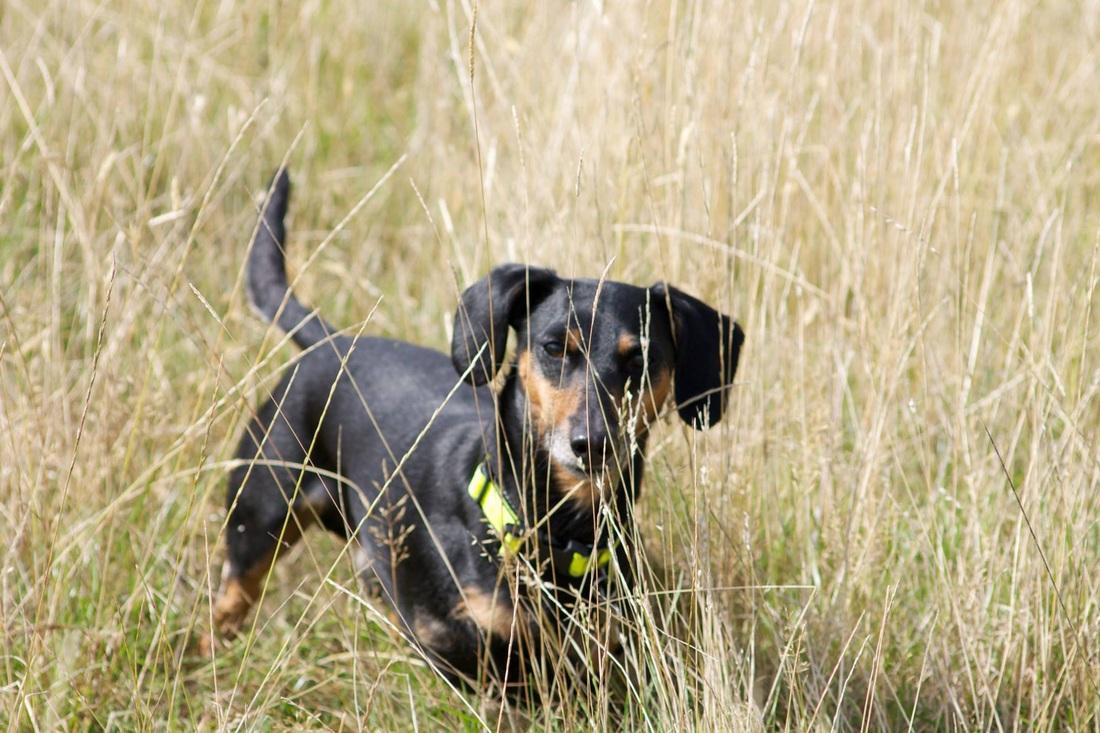 江苏省“苏北计划”“西部计划”“绵竹计划”志愿者面试在我校举行|IM电竞官网(图1) IM电竞平台
