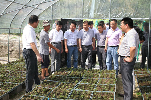 杜甫卖药的故事-IM电竞(图1) IM电竞平台